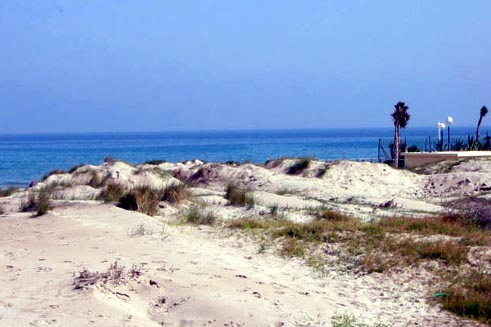 La Zenia Cala Bosque