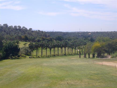 Campoamor golf course