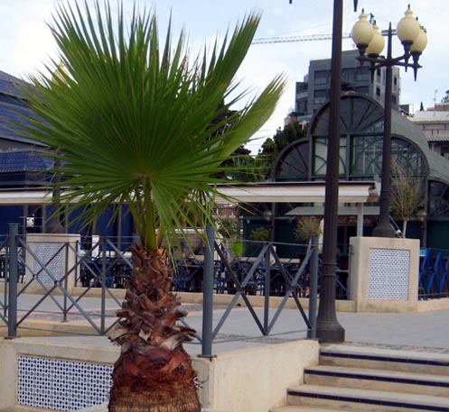 Cartagena quay