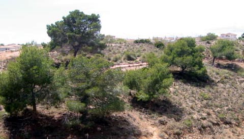 Playa Flamenca gorge