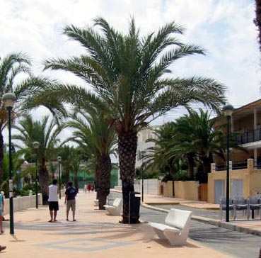 Alicante