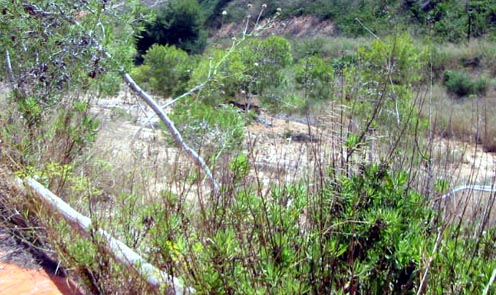 Playa Flamenca gorge